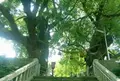 山王神社の写真_192183