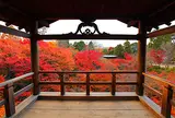 東福寺