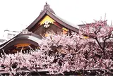 3月　湯島天満宮（湯島天神）梅