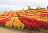 10月　那須フラワーワールド