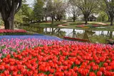 3月　国営昭和記念公園
