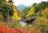 11月　秋川渓谷