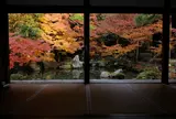 蓮華寺