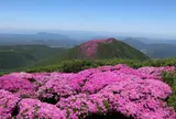 大船山
