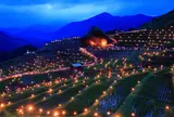 丸山千枚田 大石