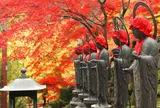 伊勢原大山寺阿夫利神社