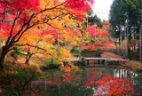 洞光寺