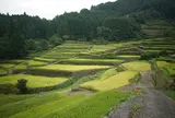 つづら棚田