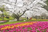 はままつフラワーパーク