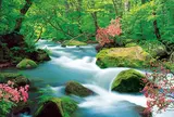 奥入瀬渓流