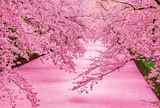 弘前公園