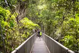 Mossman River Lookout
