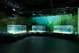 カワスイ川崎水族館