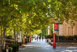 North Terrace