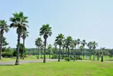 神奈川県立辻堂海浜公園