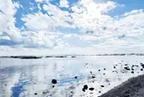 鵜ノ崎海岸