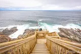 Fur Seal Lookout