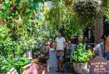 The Potting Shed