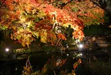 長谷寺