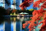 浜離宮恩賜庭園