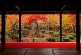 圓光寺