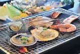 ✅シーアイガ海月