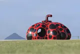 赤かぼちゃ