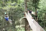 フォレストアドベンチャーつくば