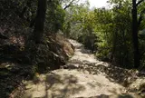 下山は七曲り登山道を選択