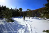 乗鞍高原