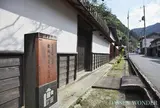 根雨