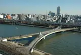 桜橋