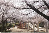 西大畑公園