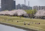 やすらぎ堤