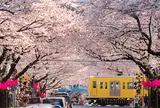 中野通り