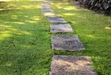 日本庭園　白龍園
