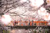 目黒川