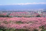 みさか桃源郷公園