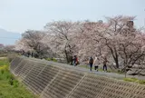 草津川緑地