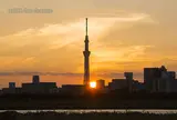東京スカイツリー
