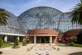 東京都夢の島熱帯植物館
