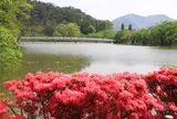 臥竜公園