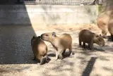 須坂市動物園