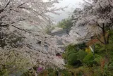 大聖寺（子育観音）