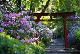 龍蓋寺（岡寺）奈良明日香村