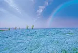 大阪まいしま シーサイドパーク