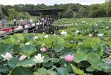 万博記念公園