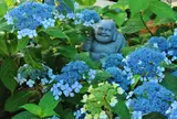 建仁寺 霊源院