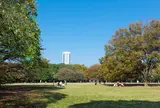 代々木公園