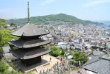 天寧寺